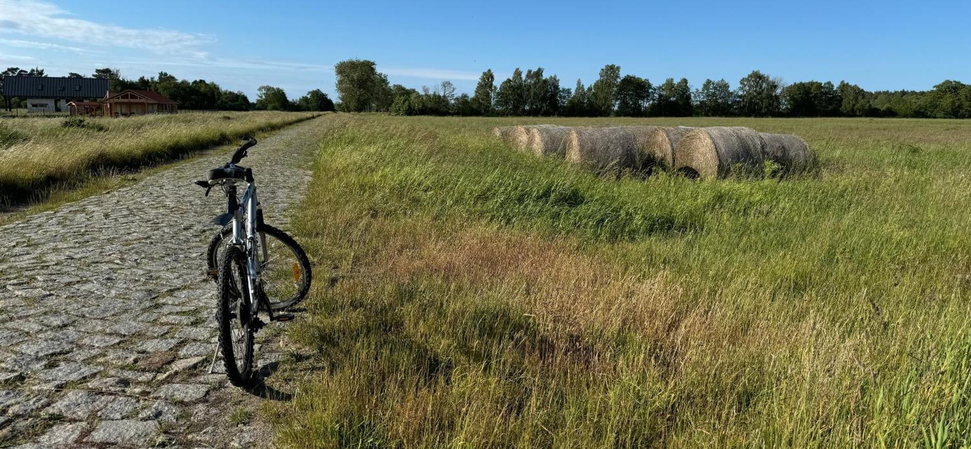 Slowinska Laka Lokciowe Exteriér fotografie